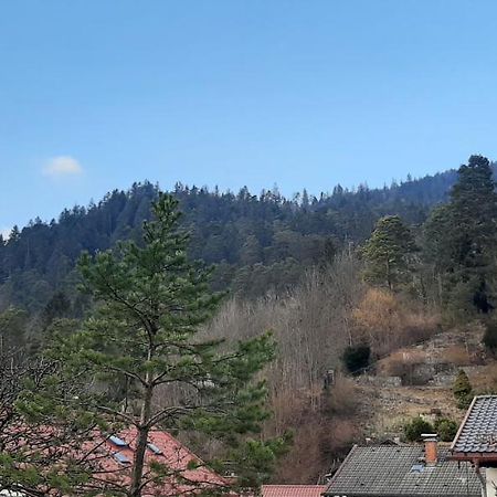 Appartement Im Hasental Garmisch-Partenkirchen Luaran gambar