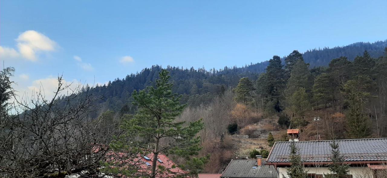 Appartement Im Hasental Garmisch-Partenkirchen Luaran gambar