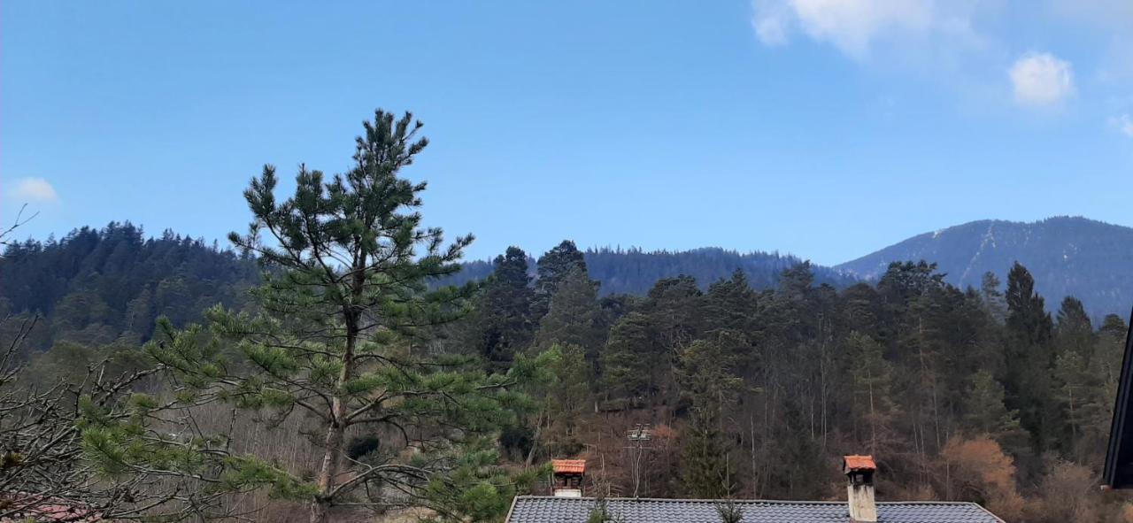 Appartement Im Hasental Garmisch-Partenkirchen Luaran gambar